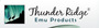 Thunder Ridge Emu Products logo